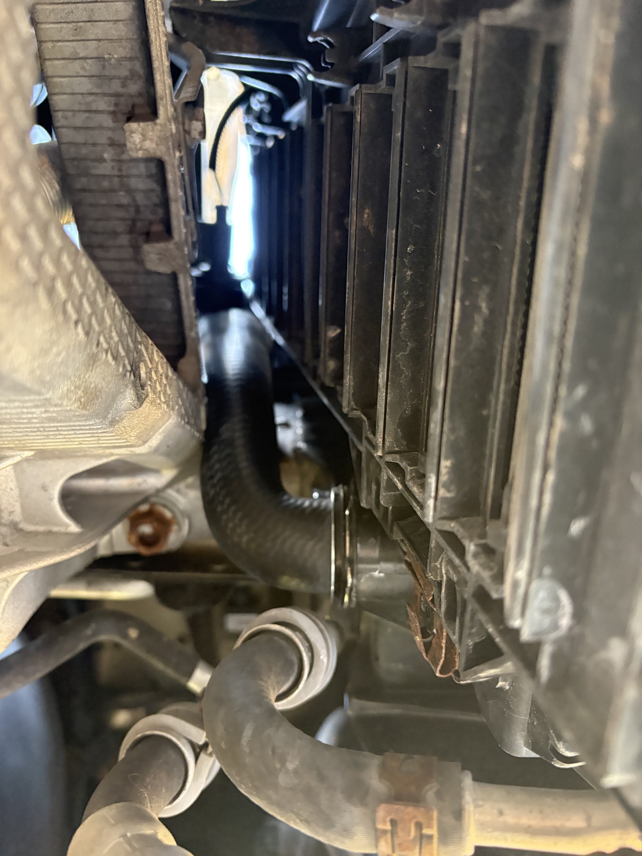 Close-up of radiator hoses and the cooling system from underneath